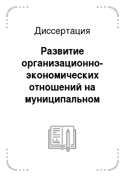 Диссертация: Развитие организационно-экономических отношений на муниципальном уровне в России