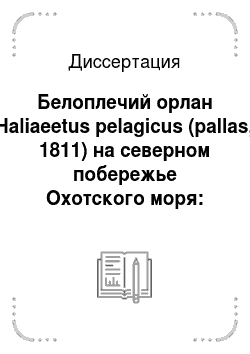 Диссертация: Белоплечий орлан Haliaeetus pelagicus (pallas, 1811) на северном побережье Охотского моря: распространение, численность, экология, миграции