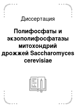Диссертация: Полифосфаты и экзополифосфатазы митохондрий дрожжей Saccharomyces cerevisiae