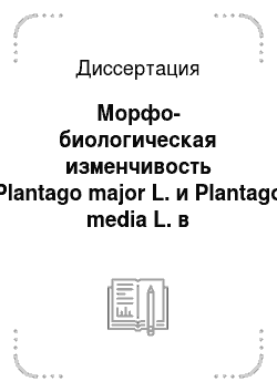 Диссертация: Морфо-биологическая изменчивость Plantago major L. и Plantago media L. в зависимости от антропогенной нагрузки