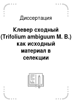 Диссертация: Клевер сходный (Trifolium ambiguum M. B.) как исходный материал в селекции многолетних бобовых трав