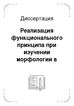 Диссертация: Реализация функционального принципа при изучении морфологии в школьном курсе русского языка
