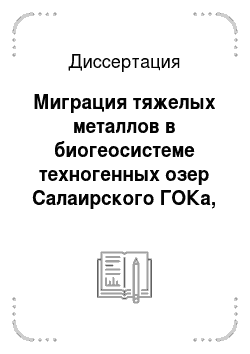 Диссертация: Миграция тяжелых металлов в биогеосистеме техногенных озер Салаирского ГОКа, Кемеровская область