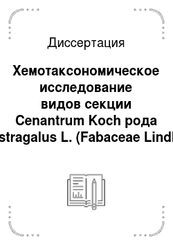 Диссертация: Хемотаксономическое исследование видов секции Cenantrum Koch рода Astragalus L. (Fabaceae Lindl.) Сибири