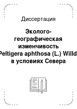 Диссертация: Эколого-географическая изменчивость Peltigera aphthosa (L.) Willd. в условиях Севера