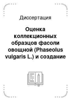 Диссертация: Оценка коллекционных образцов фасоли овощной (Phaseolus vulgaris L.) и создание исходного материала для ее селекции в южной лесостепи Западной Сибири