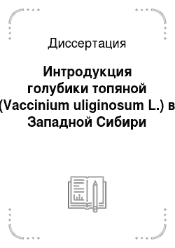 Диссертация: Интродукция голубики топяной (Vaccinium uliginosum L.) в Западной Сибири
