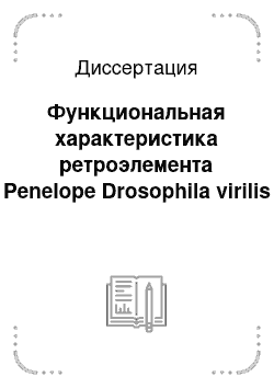 Диссертация: Функциональная характеристика ретроэлемента Penelope Drosophila virilis
