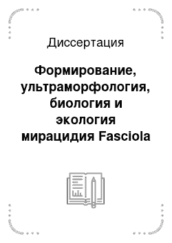Диссертация: Формирование, ультраморфология, биология и экология мирацидия Fasciola hepatica L., 1758