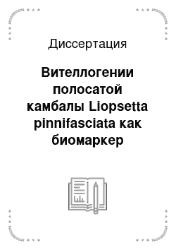 Диссертация: Вителлогении полосатой камбалы Liopsetta pinnifasciata как биомаркер эстрогенного загрязнения