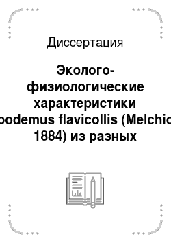 Диссертация: Эколого-физиологические характеристики Apodemus flavicollis (Melchior, 1884) из разных местообитаний правобережья Саратовской области