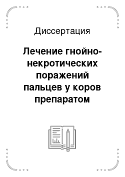 Диссертация: Лечение гнойно-некротических поражений пальцев у коров препаратом «гипофаевип» и корректорами системы гемостаза: Экспериментально-клиническое исследование