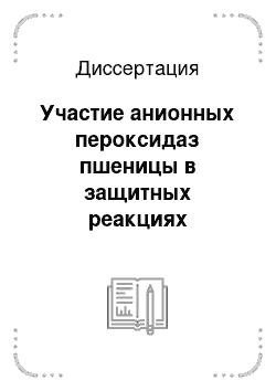 Диссертация: Участие анионных пероксидаз пшеницы в защитных реакциях растений от грибных фитопатогенов