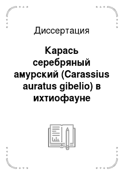 Диссертация: Карась серебряный амурский (Carassius auratus gibelio) в ихтиофауне Омской области