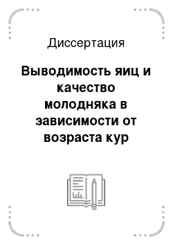 Диссертация: Выводимость яиц и качество молодняка в зависимости от возраста кур кросса «Родонит»