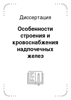 Диссертация: Особенности строения и кровоснабжения надпочечных желез оренбургской пуховой козы в постнатальном онтогенезе