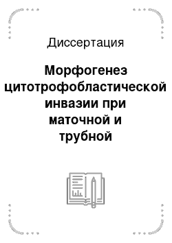 Диссертация: Морфогенез цитотрофобластической инвазии при маточной и трубной беременности