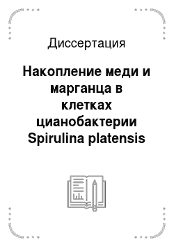 Диссертация: Накопление меди и марганца в клетках цианобактерии Spirulina platensis