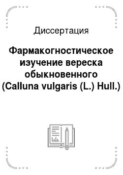 Диссертация: Фармакогностическое изучение вереска обыкновенного (Calluna vulgaris (L.) Hull.)