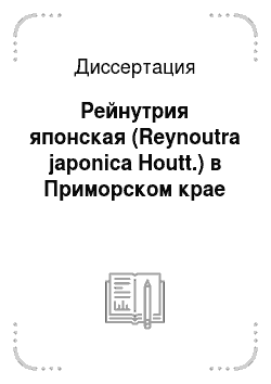 Диссертация: Рейнутрия японская (Reynoutra japonica Houtt.) в Приморском крае