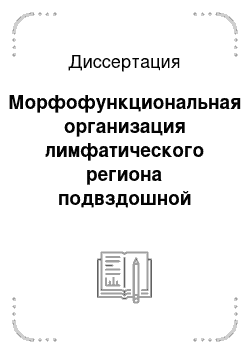 Диссертация: Морфофункциональная организация лимфатического региона подвздошной кишки после введения противоопухолевого препарата