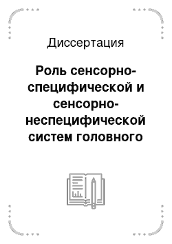 Диссертация: Роль сенсорно-специфической и сенсорно-неспецифической систем головного мозга человека в генезе вызванной корковой активности