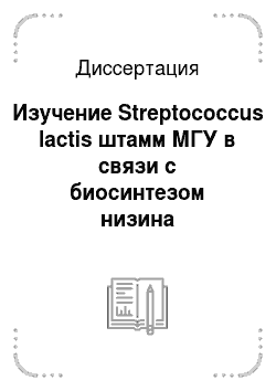 Диссертация: Изучение Streptococcus lactis штамм МГУ в связи с биосинтезом низина