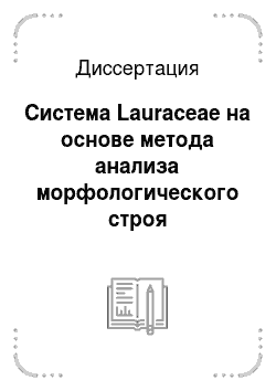 Диссертация: Система Lauraceae на основе метода анализа морфологического строя