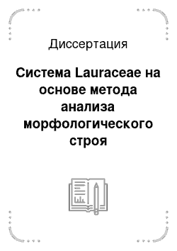 Диссертация: Система Lauraceae на основе метода анализа морфологического строя