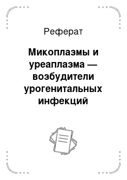 Реферат: Микоплазмы и уреаплазма — возбудители урогенитальных инфекций