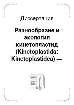 Диссертация: Разнообразие и экология кинетопластид (Kinetoplastida: Kinetoplastidea) — паразитов рыб озера Байкал