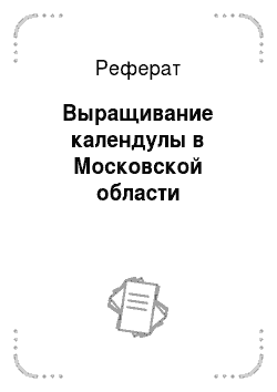 Реферат: Выращивание календулы в Московской области