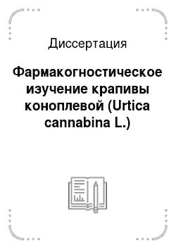 Диссертация: Фармакогностическое изучение крапивы коноплевой (Urtica cannabina L.)