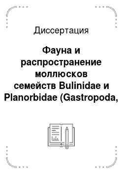 Диссертация: Фауна и распространение моллюсков семейств Bulinidae и Planorbidae (Gastropoda, Pulmonata) в водоёмах Западной Сибири