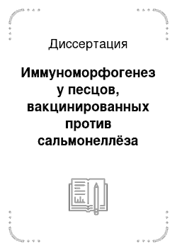 Диссертация: Иммуноморфогенез у песцов, вакцинированных против сальмонеллёза