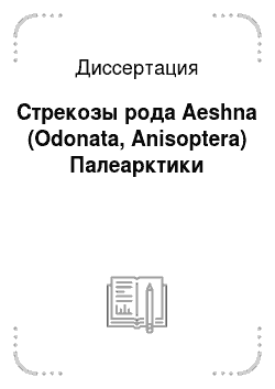 Диссертация: Стрекозы рода Aeshna (Odonata, Anisoptera) Палеарктики