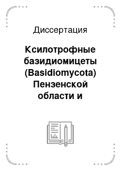 Диссертация: Ксилотрофные базидиомицеты (Basidiomycota) Пензенской области и накопление тяжелых металлов и мышьяка их базидиомами