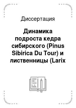 Диссертация: Динамика подроста кедра сибирского (Pinus Sibirica Du Tour) и лиственницы (Larix Sibirica Ledeb., Larix Gmelinii Rupr.) на северной и альпийской границах ареала кедра