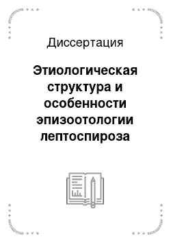 Диссертация: Этиологическая структура и особенности эпизоотологии лептоспироза собак в г. Омске