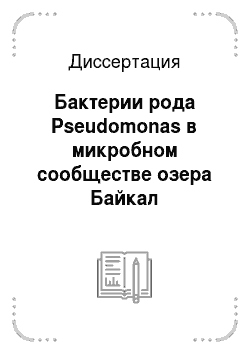 Диссертация: Бактерии рода Pseudomonas в микробном сообществе озера Байкал