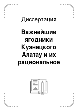 Диссертация: Важнейшие ягодники Кузнецкого Алатау и их рациональное использование