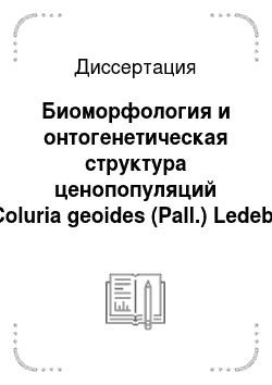 Диссертация: Биоморфология и онтогенетическая структура ценопопуляций Coluria geoides (Pall.) Ledeb. (Rosaceae)