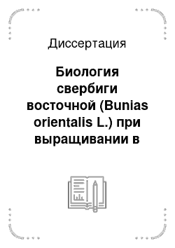Диссертация: Биология свербиги восточной (Bunias orientalis L.) при выращивании в подзоне средней тайги Республики Коми