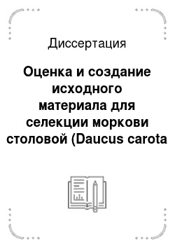 Диссертация: Оценка и создание исходного материала для селекции моркови столовой (Daucus carota L.) в условиях Беларуси