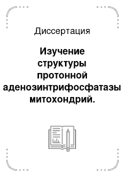 Диссертация: Изучение структуры протонной аденозинтрифосфатазы митохондрий. Триптические и бромциановые пептиды OSCP-белка