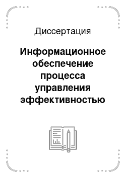 Диссертация: Информационное обеспечение процесса управления эффективностью предприятия: На примере предприятий электротехнической промышленности Республики Мордовия