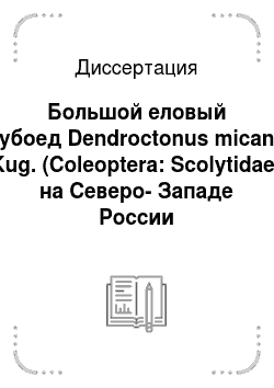 Диссертация: Большой еловый лубоед Dendroctonus micans Kug. (Coleoptera: Scolytidae) на Северо-Западе России