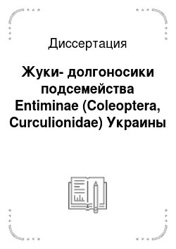 Диссертация: Жуки-долгоносики подсемейства Entiminae (Coleoptera, Curculionidae) Украины