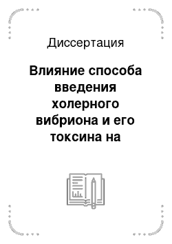 Диссертация: Влияние способа введения холерного вибриона и его токсина на формирование и цитокиновую регуляцию местного иммунитета