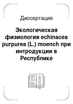Диссертация: Экологическая физиология echinacea purpurea (L.) moench при интродукции в Республике Башкортостан
